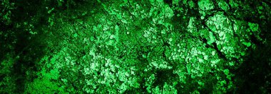 Beyaz, eski, soyulmuş boyayla boyanmış yeşil duvar.