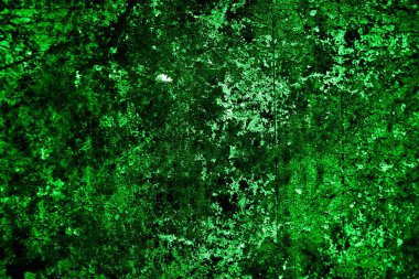 Beyaz, eski, soyulmuş boyayla boyanmış yeşil duvar.