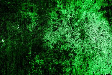 Beyaz, eski, soyulmuş boyayla boyanmış yeşil duvar.