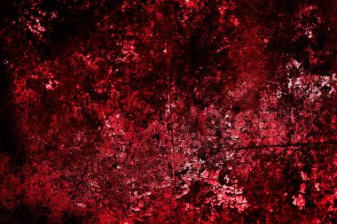 kırmızı duvar beyaz eski kabuk boyasıyla boyanmış.