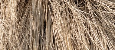 Kahverengi kuru ot. arkaplan veya doku