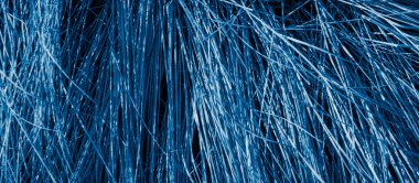 Mavi kuru otlar. arkaplan veya doku