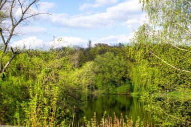Yeşil ormanların ve mavi gökyüzünün arka planına karşı göl