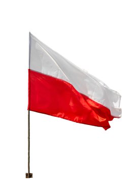 Polonya bayrağı beyaz izole arkaplanda