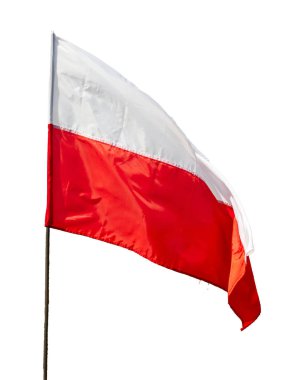 Polonya bayrağı beyaz izole arkaplanda