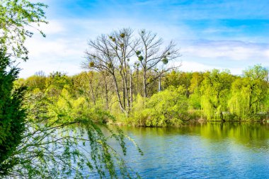 Güneşli bir günde Chorzow 'da park