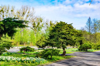 Güneşli bir günde Chorzow 'da park