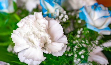 Beyaz karanfilli çiçekler ve mavi ve beyaz güller.