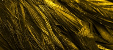 Altın horoz tüyleri. arkaplan veya doku