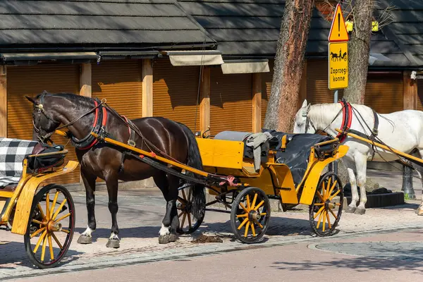 stock image horse drawn carriage on Zakopanes Krupowki street