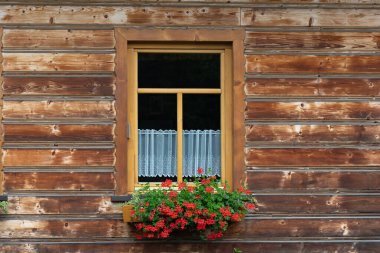 Pencerenin pervazında çiçekler olan ahşap bir duvardaki eski ahşap pencere.