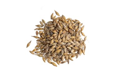 Beyaz arka planda arpa taneleri