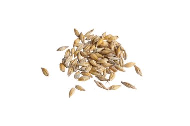 Beyaz arka planda arpa taneleri