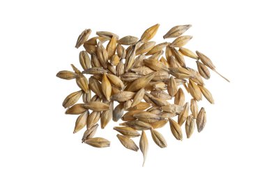 Beyaz arka planda arpa taneleri