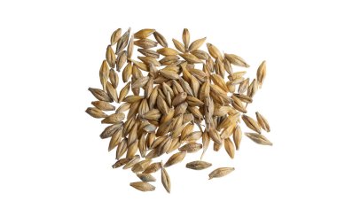 Beyaz arka planda arpa taneleri