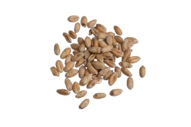 Beyaz arkaplanda izole buğday taneleri