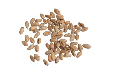 Beyaz arkaplanda izole buğday taneleri