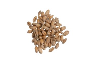 Beyaz arkaplanda izole buğday taneleri