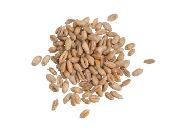 Beyaz arkaplanda izole buğday taneleri