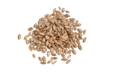 Beyaz arkaplanda izole buğday taneleri