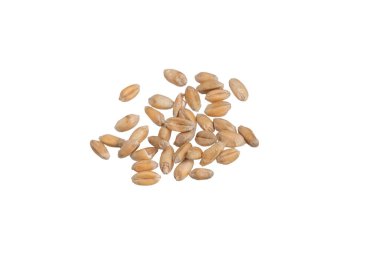 Beyaz arkaplanda izole buğday taneleri