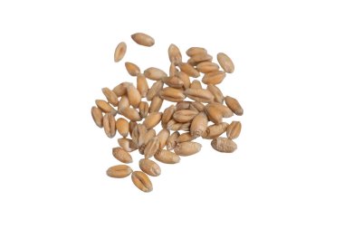 Beyaz arkaplanda izole buğday taneleri