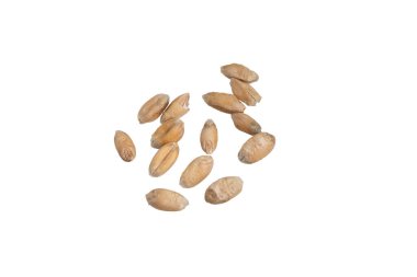 Beyaz arkaplanda izole buğday taneleri