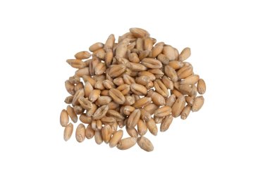 Beyaz arkaplanda izole buğday taneleri