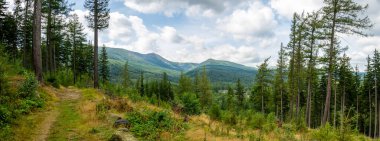 Ana Sudetes yolu Sniezka 'ya çıkıyor.