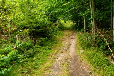 Ana Sudetes yolu Sniezka 'ya çıkıyor.