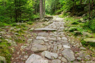 Ana Sudetes yolu Sniezka 'ya çıkıyor.