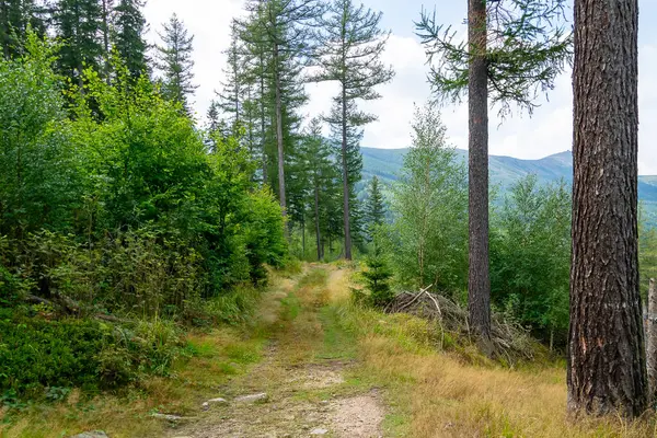 Ana Sudetes yolu Sniezka 'ya çıkıyor.