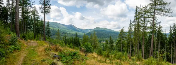 Ana Sudetes yolu Sniezka 'ya çıkıyor.