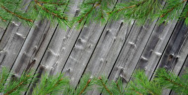 Gri panoların arka planında çam dalları