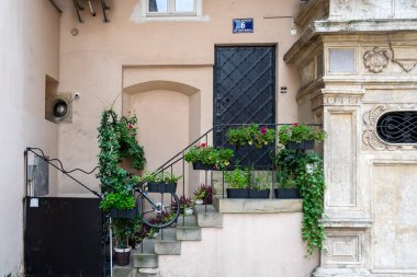 Evin girişi parmaklıklar, merdivenler ve çiçeklerle dolu.