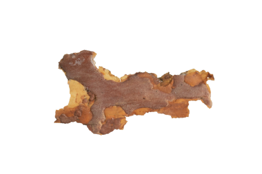 ıssız çam kabuğu parçaları