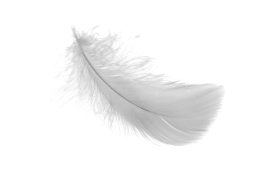 Beyaz arka planda beyaz kaz tüyleri