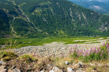 Arkasında dağ olan Karkonosze dağlarındaki vadi