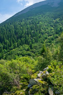 Mavi gökyüzüne karşı Karkonosze dağları
