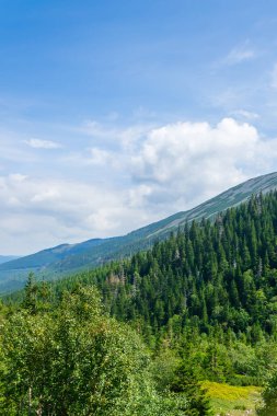 Mavi gökyüzüne karşı Karkonosze dağları