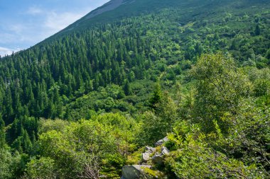 Mavi gökyüzüne karşı Karkonosze dağları