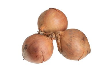 Görünür detaylarla beyaz arkaplanda soğan