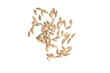 Beyaz arka planda arpa taneleri