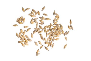 Beyaz arka planda arpa taneleri