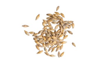 Beyaz arka planda arpa taneleri