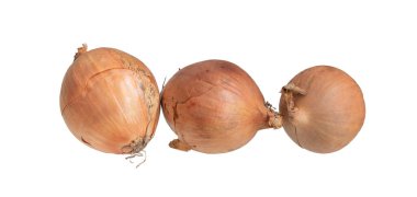 Görünür detaylarla beyaz arkaplanda soğan