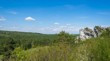 Sarı sonbahar yaprakları mavi gökyüzüne karşı