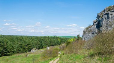 Sarı sonbahar yaprakları mavi gökyüzüne karşı