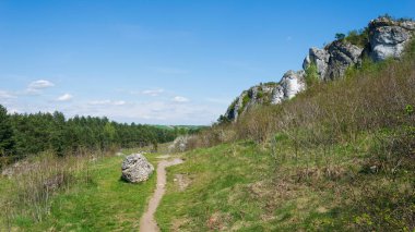 Sarı sonbahar yaprakları mavi gökyüzüne karşı