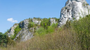 Sarı sonbahar yaprakları mavi gökyüzüne karşı